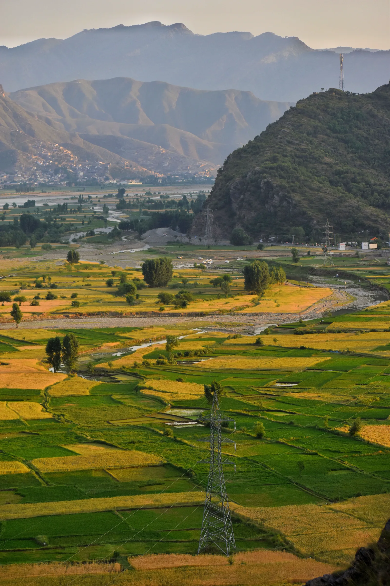 Mountain layers in Swat Valley: soft greens, dense forest, snow-capped peaks