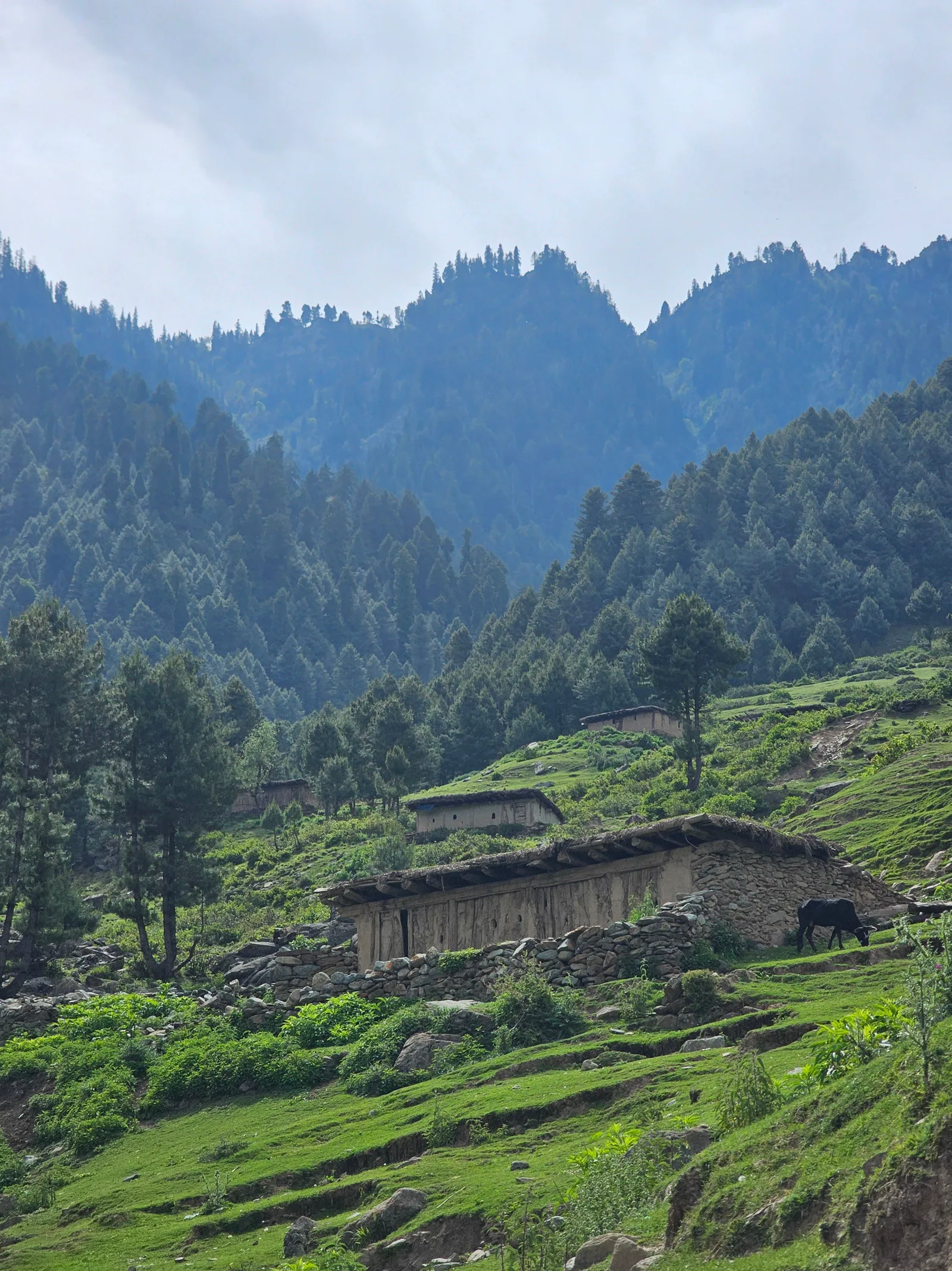 Evening light over Swat Valley: the sky and landscape at dusk