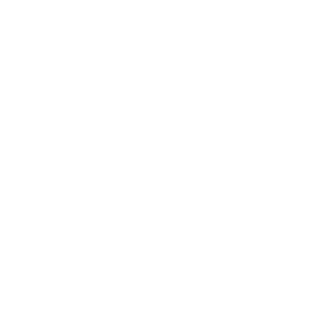 Bashir Kay Fries